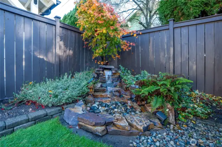 Back yard water feature.