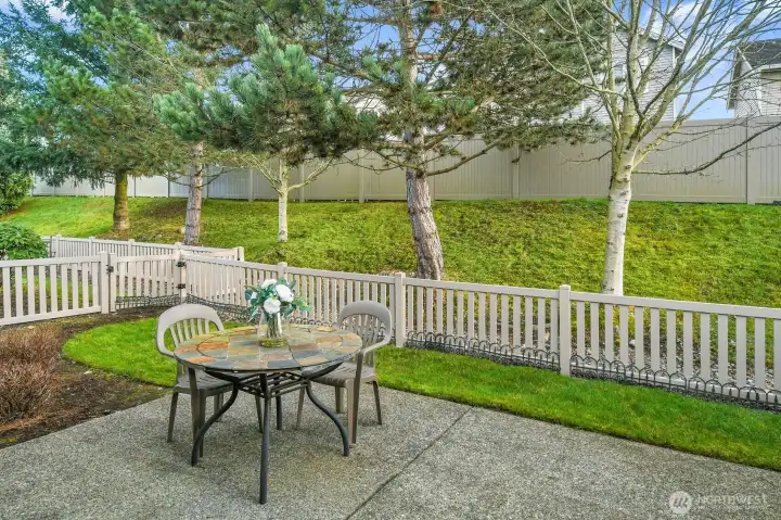 Back patio & fenced yard.
