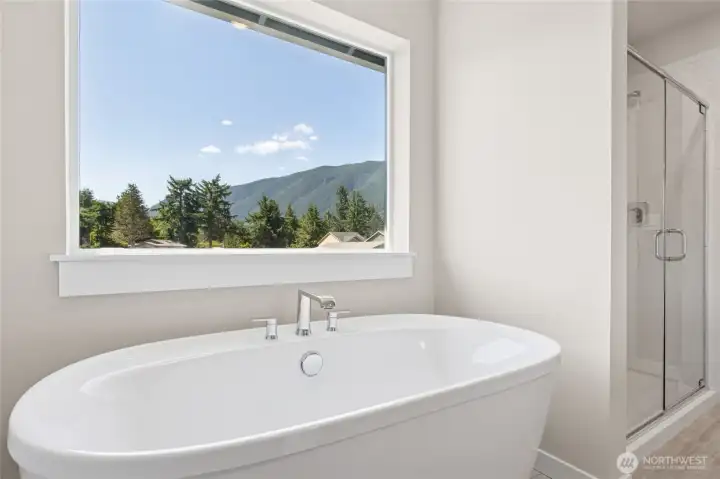 Soaking tub in primary suite with picture window and mountain views.  Views vary per lot