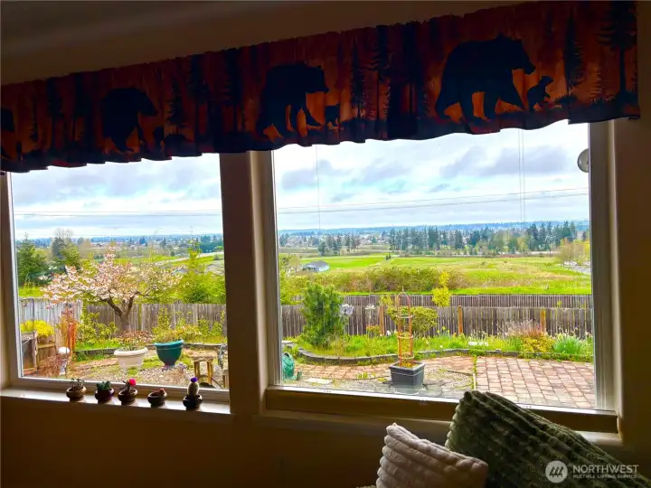 Unobstructed view from living room