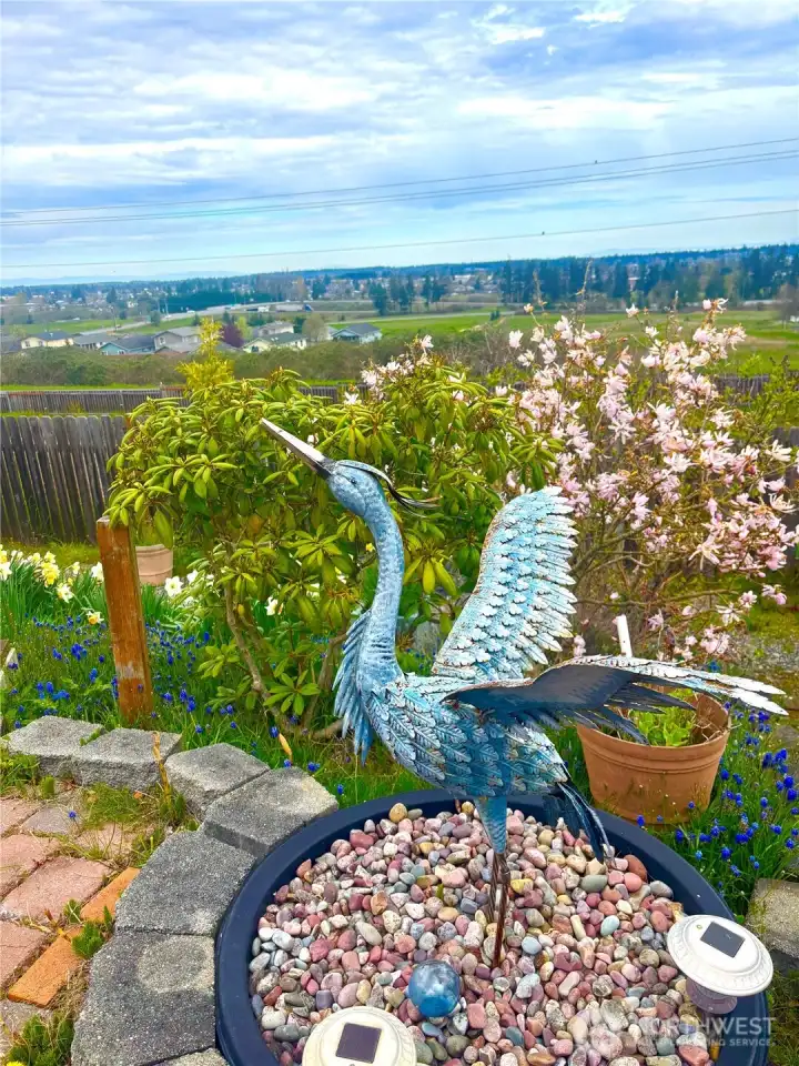 Stunning view of city, straits and Mt. Baker