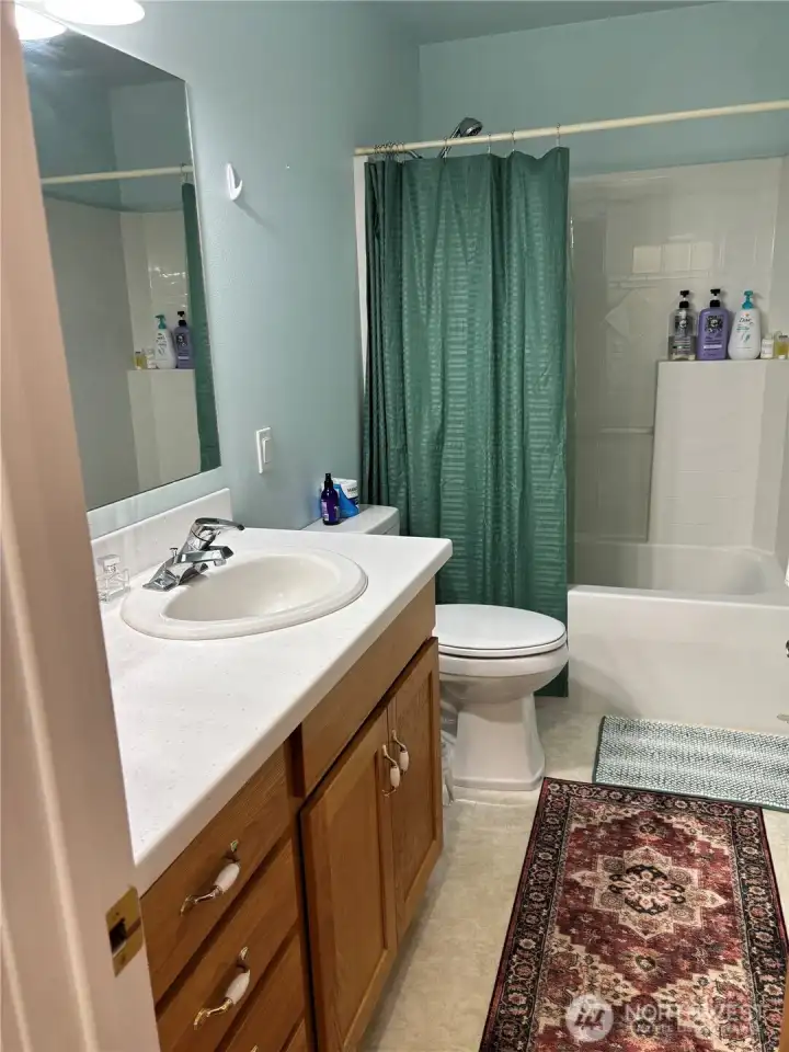 Guest bath