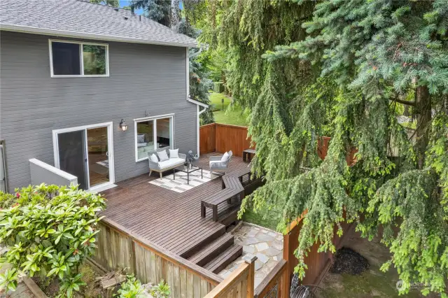 This back oasis features features numerous upgrades; recently-stained deck, turf "grass", updated fencing, and a stone pathway/patio.  With built-in bench seating and a rock wall garden bed, this outdoor space is perfect for entertaining and relaxing.