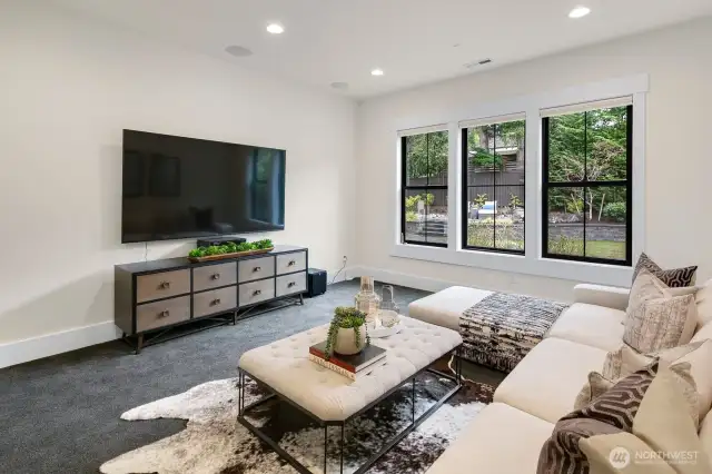 Media room with 5pt surround sound system