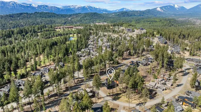 Aerial view of the neigborhood