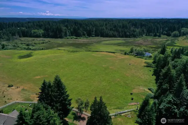 Expansive pastoral views stretch across this lush green acreage, framed by dense evergreens and featuring a tranquil pond and grazing pasture. With Mt. Rainier visible on the horizon, this property offers the perfect blend of natural beauty and open space for equestrian or agricultural use.
