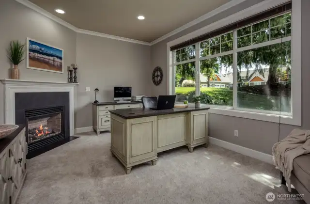 Work from home in comfort and style in this spacious office, featuring a cozy gas fireplace, abundant natural light, and tranquil views through oversized windows overlooking the manicured front yard.