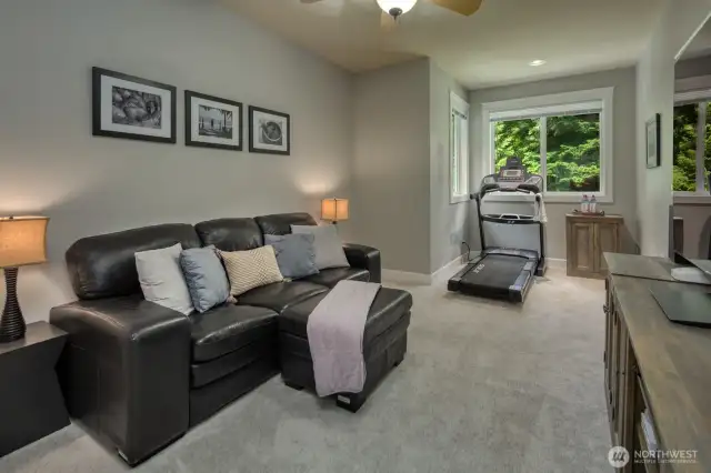This flexible bonus room offers endless possibilities—currently set up as a media lounge and home gym, it features ample space for work, play, or wellness.