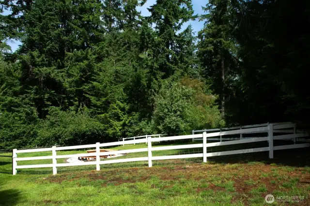 Fully fenced backyard ideal for pets.