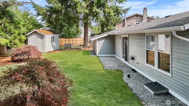 Japanese maples grace your outdoor oasis, with large shed to host your gardening tools and lawn mower. Green grass has been digitally altered in photo.