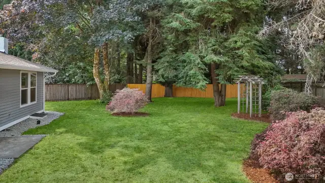Sitting on a shy quarter acre, there is plenty of space to spread out and play. Bring Fido and friends! Green grass has been digitally altered in photo.
