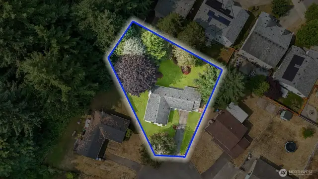 Blue boundary lines are indicative only. Buyer to verify to their own satisfaction. Green grass has been digitally altered in photo.