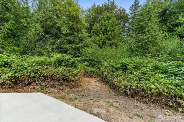 Path to the well house.