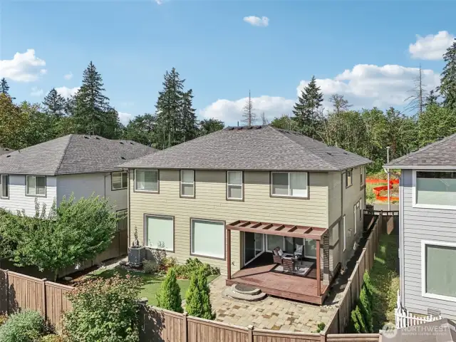 Drone back yard