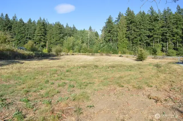 Lower Pasture