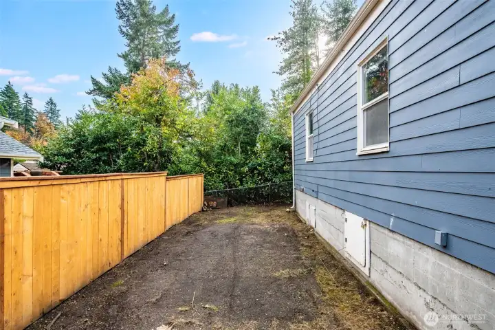 Backyard of the main house.