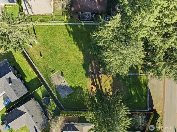 View from above the park!