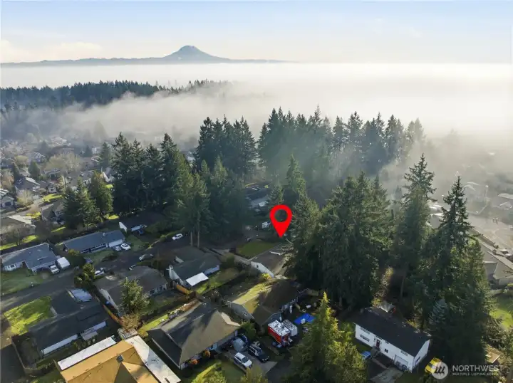 Amazing location minutes from Cirque Park, Chambers Bay, shopping and more!