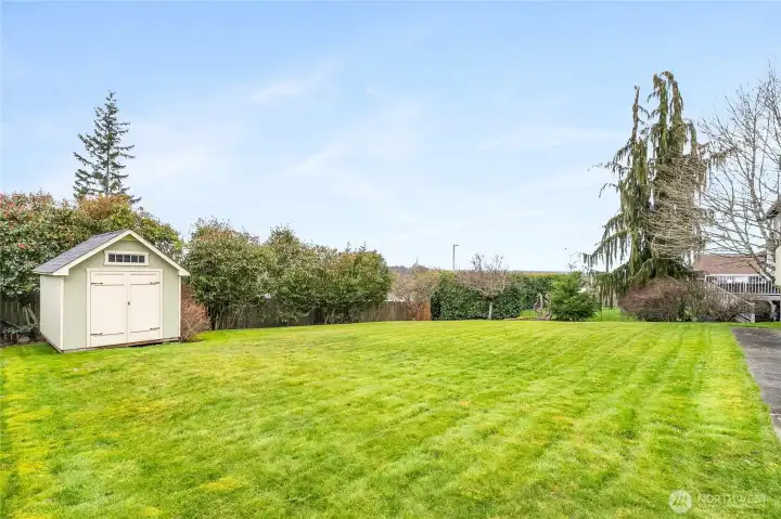 Storage shed in back yard