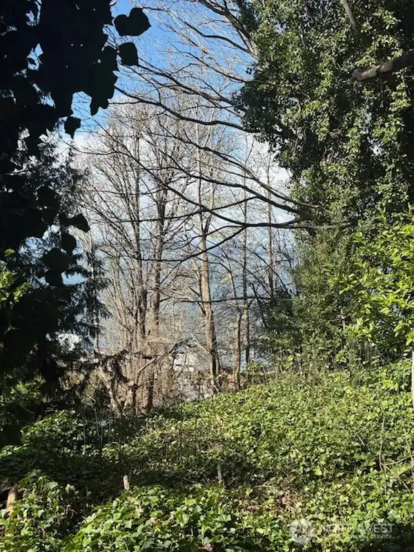 If you look East towards the middle section of the lot you can see a flat logical place to build.