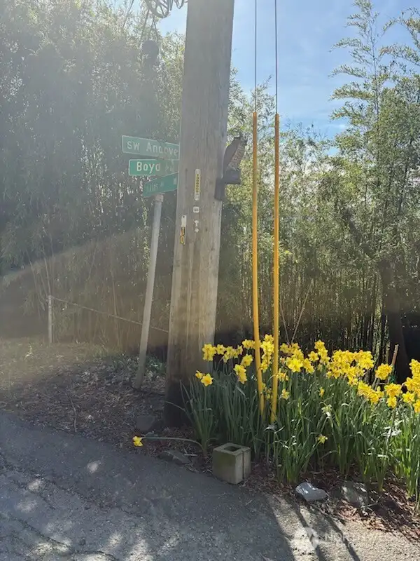 Asphalt tab directly behind the sign post indicating the intersection of Boyd Place SW and SW Akins St.