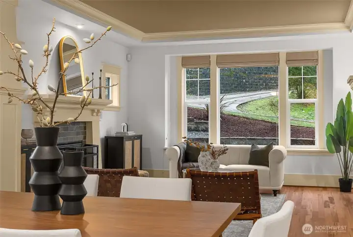 Hunter Douglas blinds, details in the ceiling and woodwork