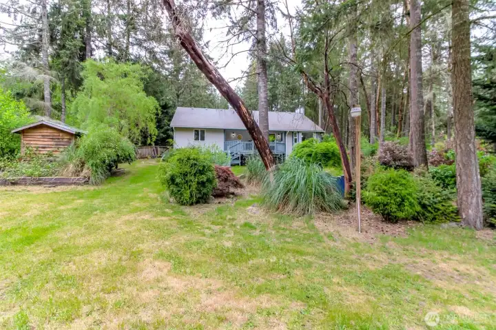 Mature landscaping