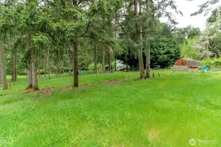 Beautiful back yard space with room to grow