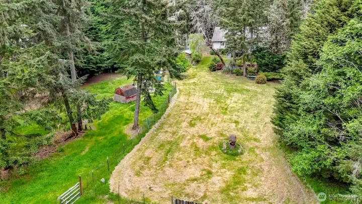 Mowed section of backyard