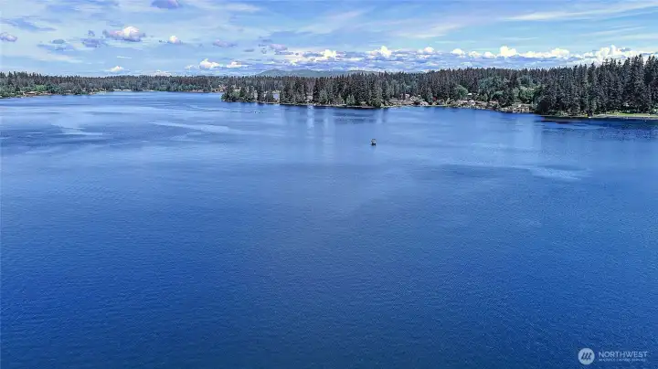 Your Patience for The Lake Oasis Paid-Off~