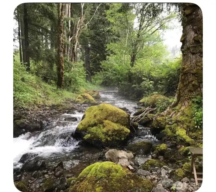 Enjoy a stop at the river or creeks on the property for a picnic