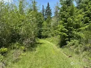 What another trail