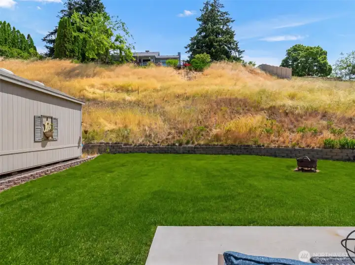 Large Backyard