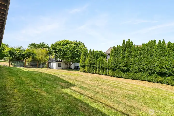 Backyard Backyard