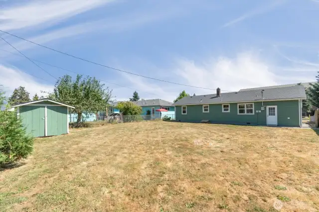 Back Yard