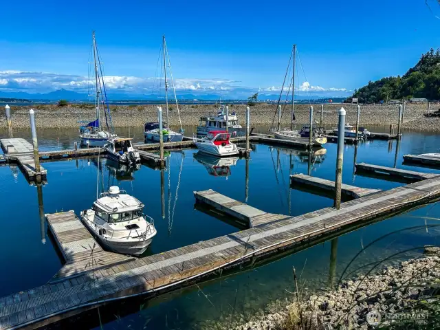 Marina