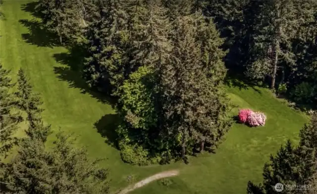 Golf Course