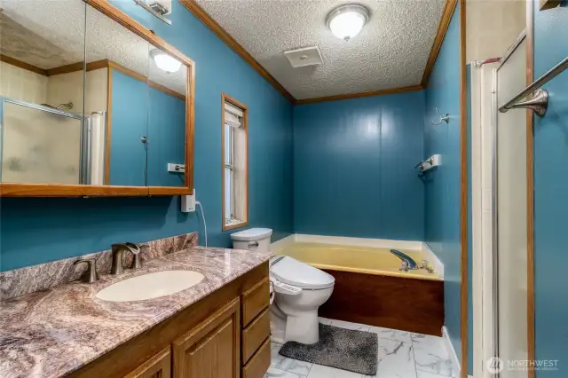 Master bathroom (full)