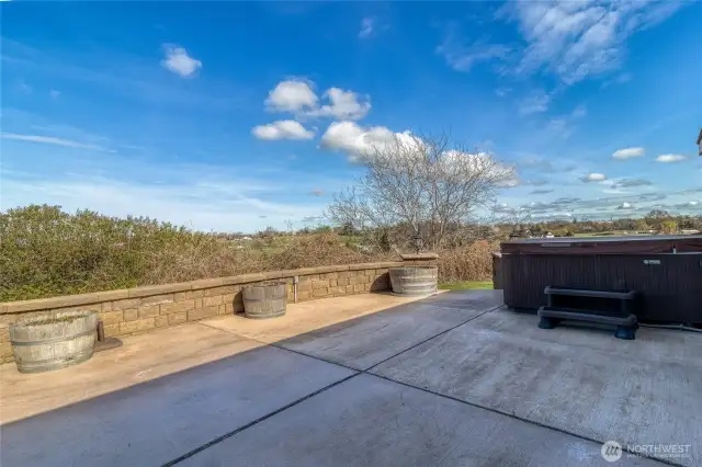 Back patio w/hot tub