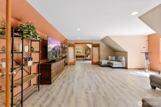 Large flex/bonus room
