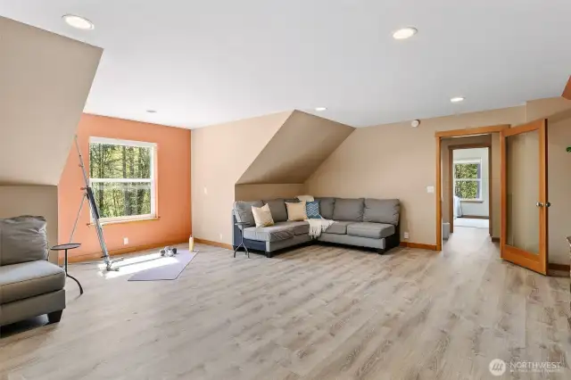 Large flex/bonus room