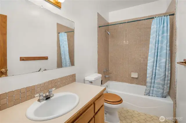 Lower Level Bathroom