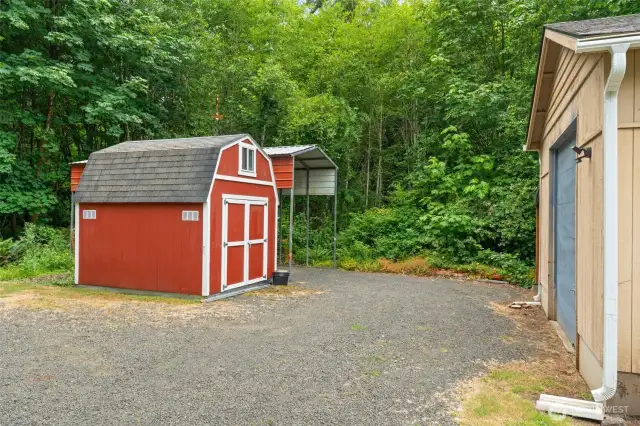Chicken Coop