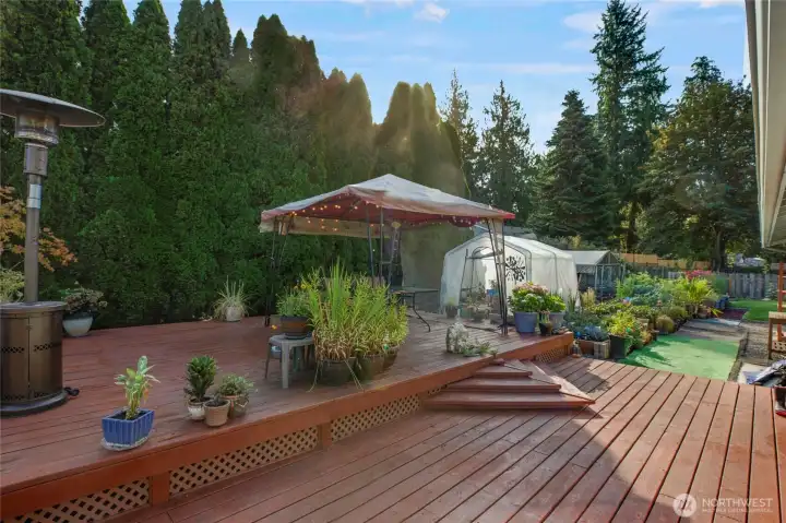 AMAZING backyard!