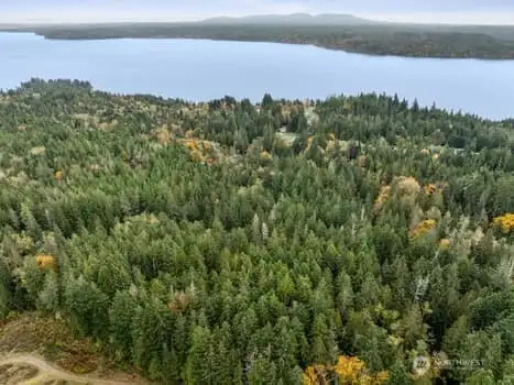Canal view with removal of trees