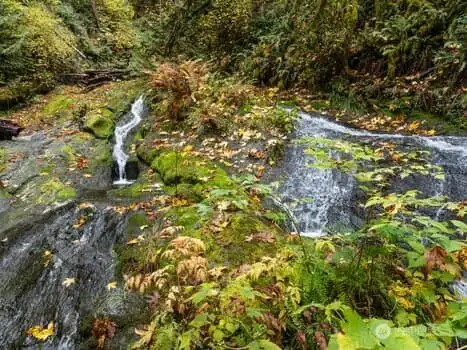 One of a kind natural beauty