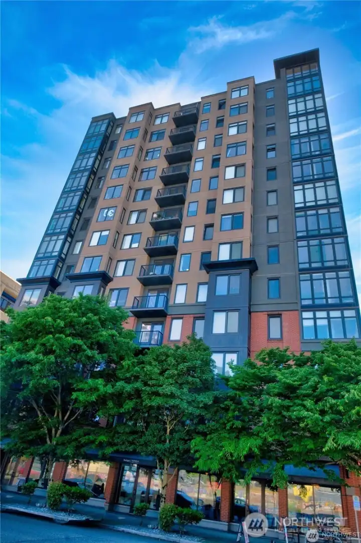 Tree-Lined First Avenue