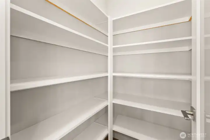 Closer look at walk-in pantry.
