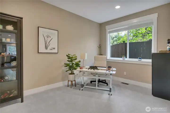 Office/Guest Bedroom