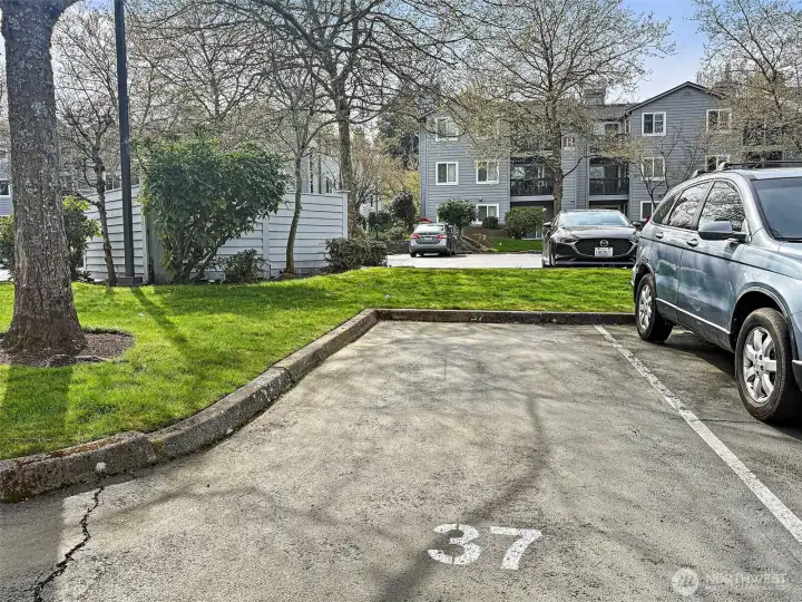 Parking space #37.